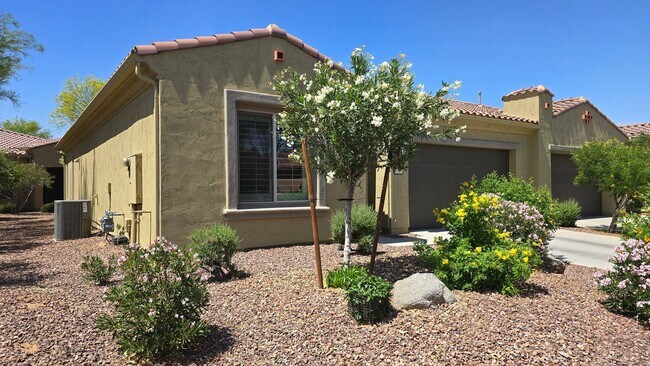 Building Photo - 55+ Amenity rich Pebble Creek community!