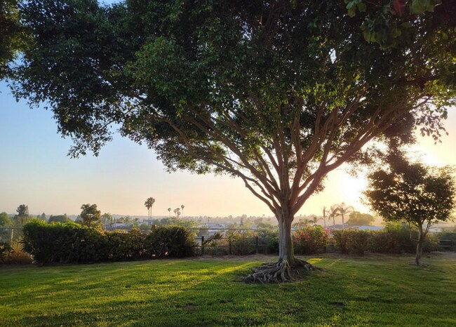 Foto del edificio - 1595 Mendocino Drive, #44