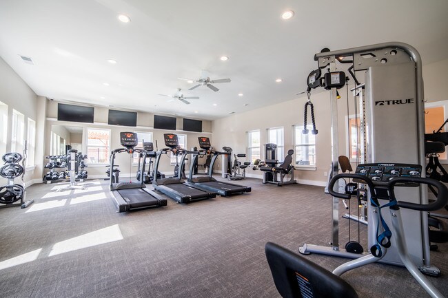 Gimnasio - Trailside Flats