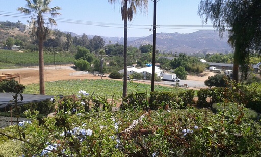 Building Photo - 553 Buena Creek Rd
