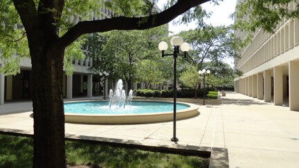 patio - 1450 E 55th Pl