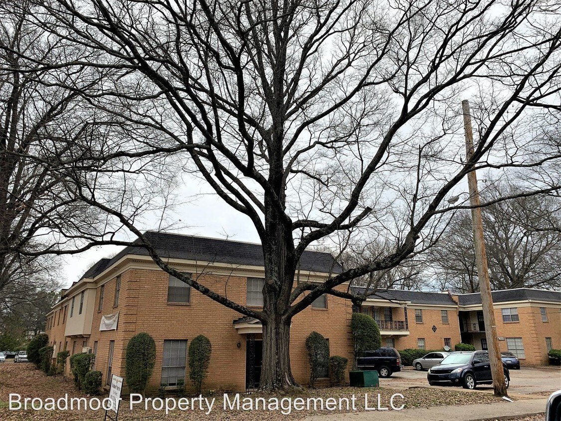 3636 Spottswood Ave Memphis Tn 38111 Apartment For Rent In Memphis Tn Apartments Com