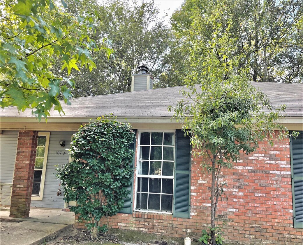 107 Woodstone Pl, Clinton, MS 39056 Townhouse for Rent in Clinton, MS