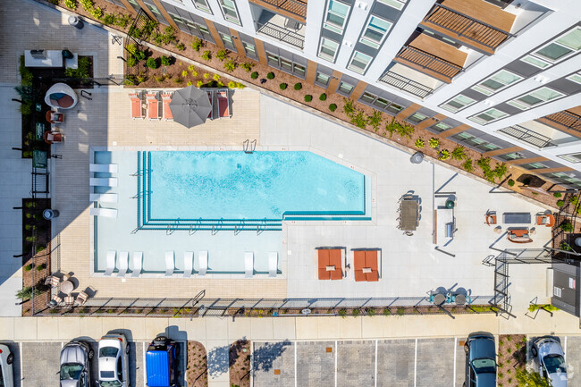 Piscina - Braxton Music City