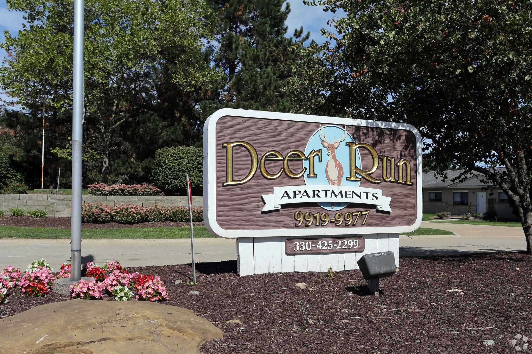 Deer Run – photo 5