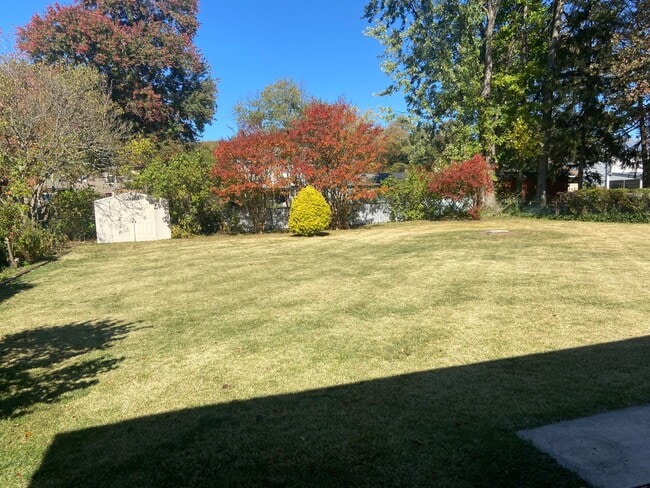 Foto del edificio - 253 Holly Ave