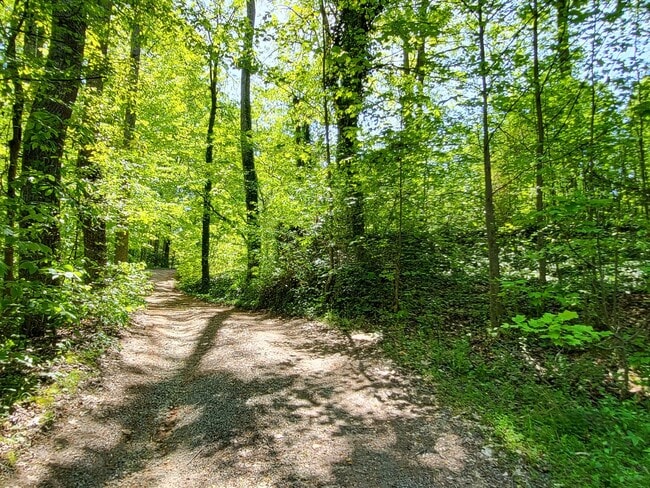 Building Photo - 4 bedroom mobile home in Iron Station