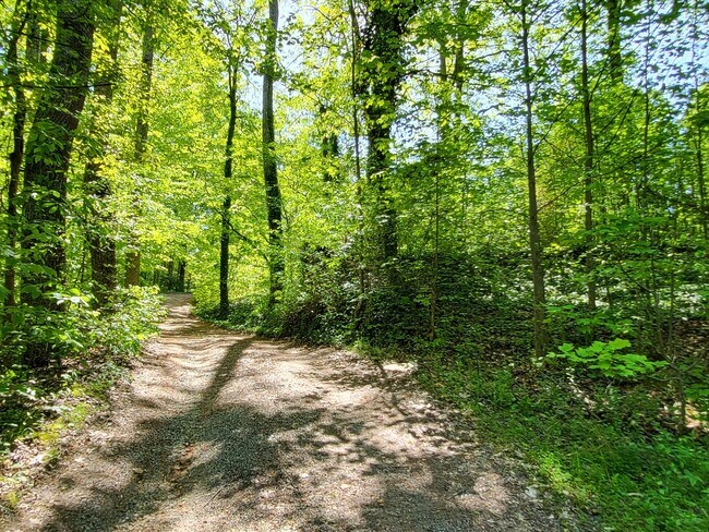 Foto del edificio - 4 bedroom mobile home in Iron Station