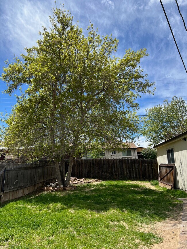 Foto del edificio - 425 S Oak St