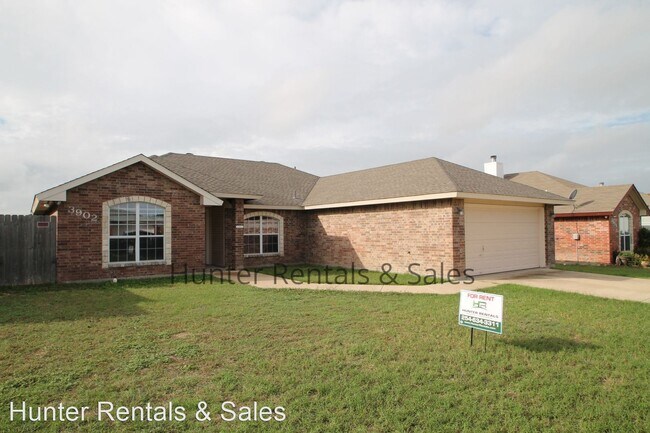 Building Photo - 3 br, 2 bath House - 3902 Llano Estacado Ct.
