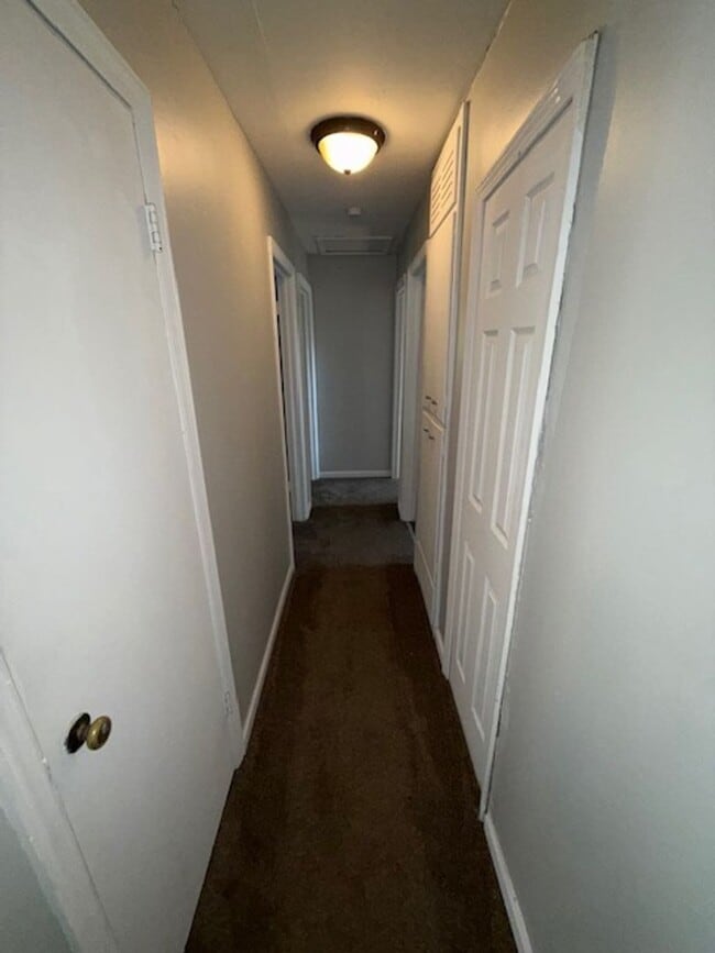Building Photo - 4315 Frisse Ave