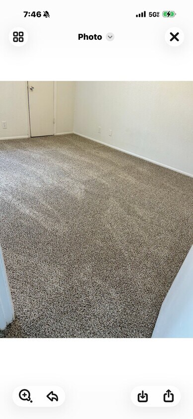 Foto del edificio - 159 Sprucewood Ln