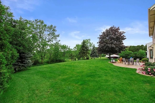 backyard - 2935 Willard Ln