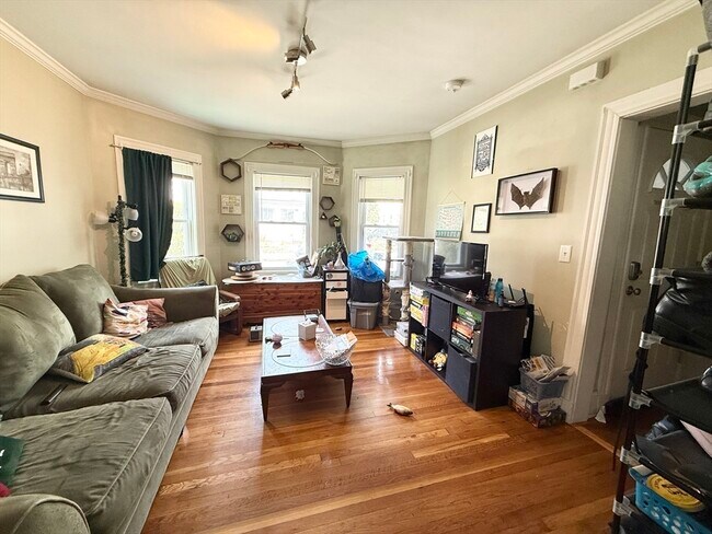 Building Photo - 81 Florence St