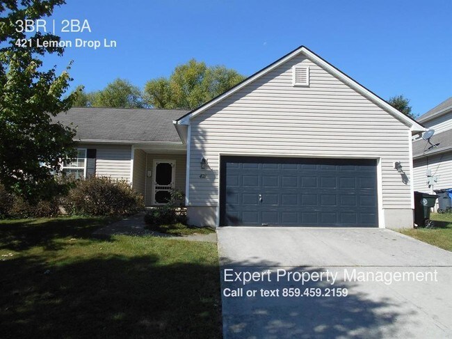 Apartments And Houses For Rent In Lexington Ky Apartments And Houses For Rent In Lexington Ky