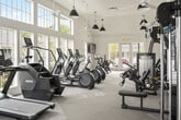 This fitness room in Birmingham, Alabama, offers a thoughtfully designed workout space that balances functionality with an inviting atmosphere. The room features soaring vaulted ceilings that create an open, airy feel, complemented by rows of large windows and glass-paned doors that flood the interior with natural light and provide views of the surrounding outdoor area, including a pool courtyard.

The space is comprehensively outfitted with a wide range of fitness equipment. Cardio options include multiple treadmills, elliptical machines, stair climbers, and stationary cycling bikes. Strength training is well-supported with a multi-station cable machine, adjustable weight benches, and a full dumbbell rack spanning a variety of weights. Wall-mounted flat-screen televisions are positioned throughout the room for entertainment during workouts.

Stylish matte black pendant lights hang from the vaulted ceiling alongside ceiling fans, ensuring both proper illumination and air circulation. The neutral-toned carpet flooring with geometric accent patterns adds a modern touch and provides comfort underfoot. Mirrored wall sections enhance the sense of depth and space while supporting strength training activities. The overall ambiance is clean, bright, and modern, making this fitness room a practical and comfortable environment for a full range of workout routines.