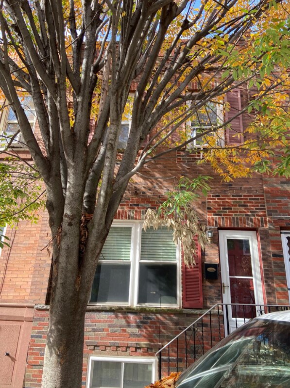2406 S Opal St, Philadelphia, PA 19145 House Rental in Philadelphia, PA