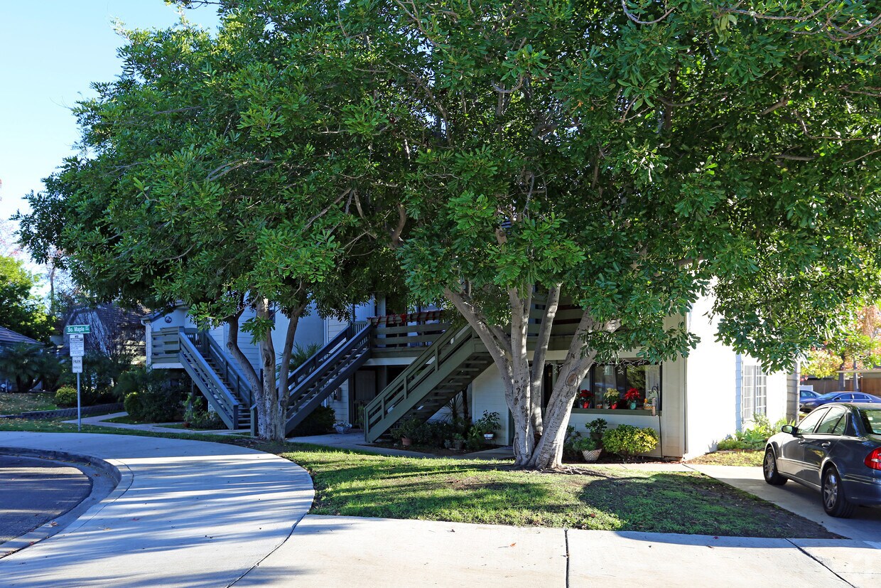 Foto del edificio - Maple Street Villas