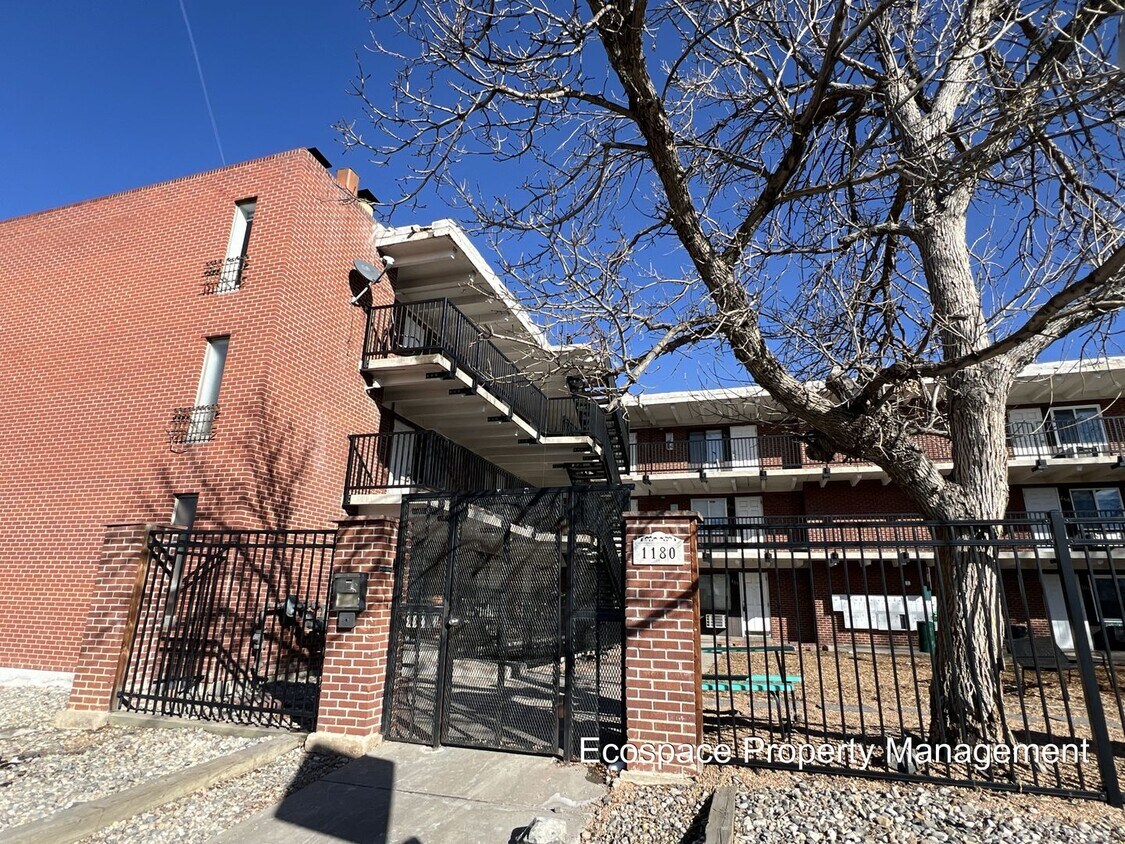 Primary Photo - Studio Apartment in Denver