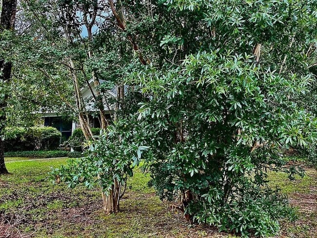 Building Photo - 7221 Lakewood Rd