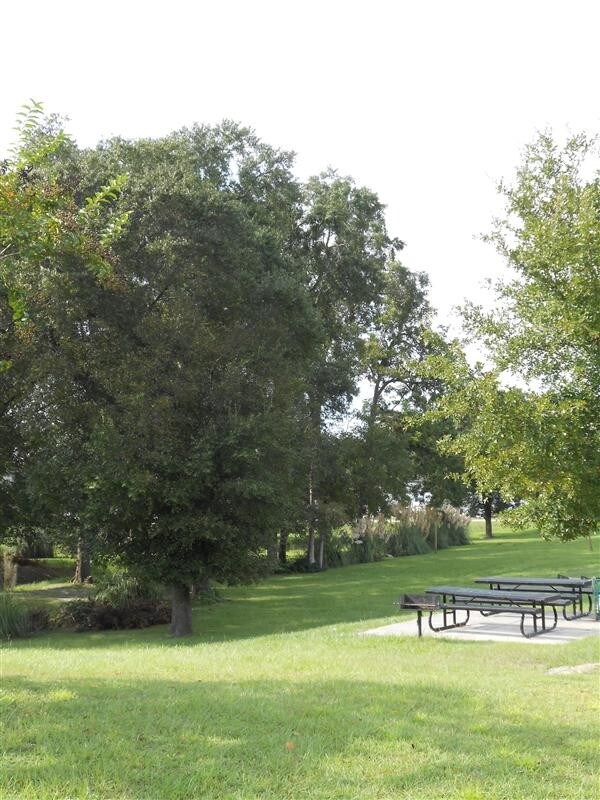 801 Naomi St Unit 111, Waycross, GA 31501 Apartment for Rent in