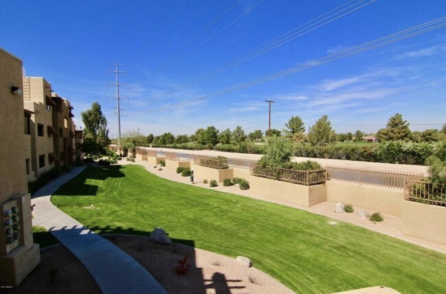 Canal y el área de paseo para perros - 3434 E Baseline Rd