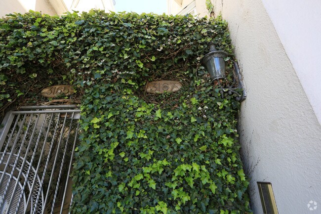 Foto del edificio - 3167-3169 California St
