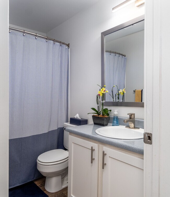 Lakeshore Townhomes Townhomes for Rent Lake Stevens, WA