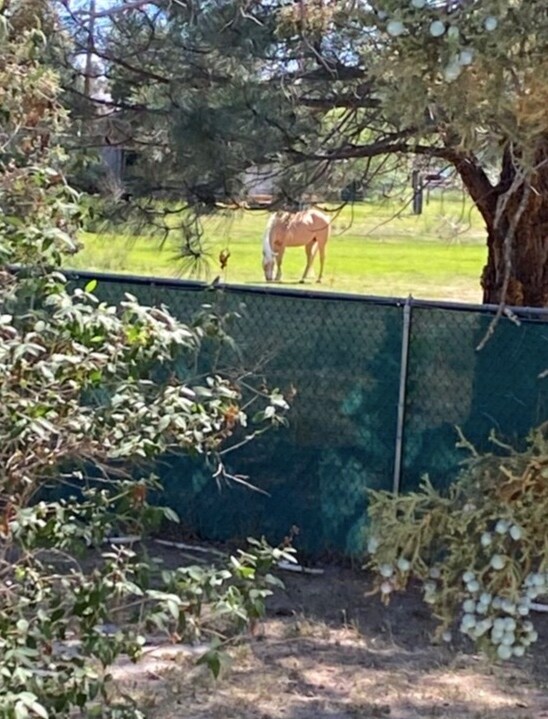 20989 Tumalo Rd, Bend, OR 97701 House Rental in Bend, OR