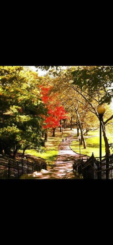 Foto del edificio - 90 Schuyler Ave