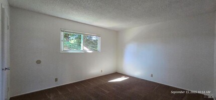 Building Photo - 1567 Alamo Dr