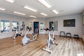 Located at 8021 Wedd St in Overland Park, Kansas, this single-floor fitness center is designed to provide a clean, functional, and welcoming environment for exercise. The space is finished with warm hardwood flooring throughout, lending a polished and modern aesthetic that complements the soft, light-blue painted walls.

Natural light fills the room through a generous row of large, multi-pane windows along one wall, offering views of the surrounding greenery and creating an open, airy atmosphere. Recessed rectangular light fixtures are mounted flush with the white ceiling, providing even, well-distributed artificial lighting throughout the space.

A full-length wall mirror runs along one side of the room, visually expanding the space and making it ideal for form-checking during workouts. The fitness equipment includes upright and recumbent stationary bikes, a spinning cycle, and a rowing-style machine, offering a variety of low-impact cardio options. Plyo boxes are also present for functional training exercises.

A wall-mounted flat-screen television is positioned prominently, allowing users to follow workout programs or stay entertained during exercise. Framed artwork is displayed along the walls, adding a thoughtful decorative touch that softens the utilitarian feel of the space. The overall ambiance is bright, clean, and motivating — well-suited for a community fitness facility.