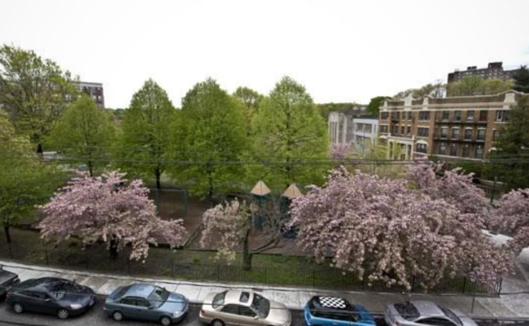 Building Photo - 135 Chiswick Rd