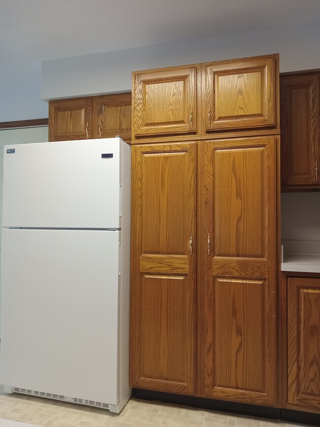Foto del edificio - 316 Willowbend Cir