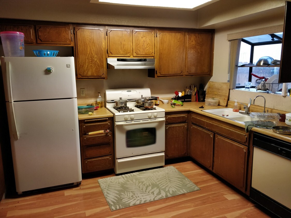 Primary Photo - 104 Tamarisk St