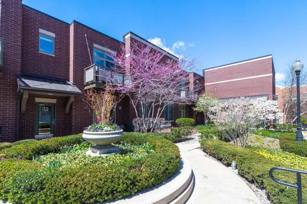 Foto principal - 1515 S Halsted St