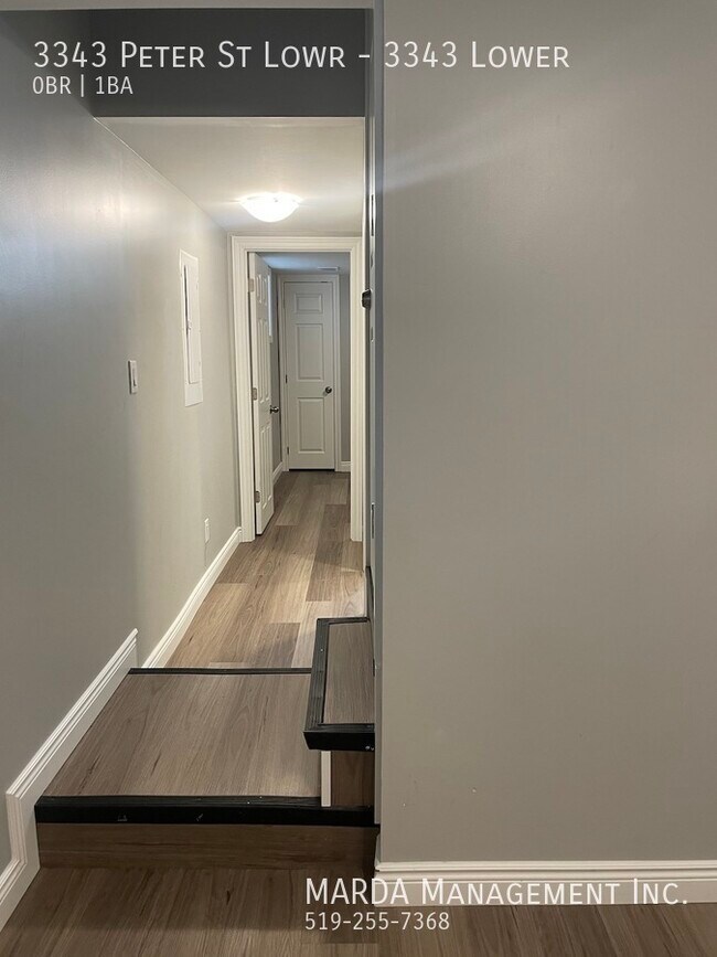 Photo du bâtiment - MODERN 1 BED/1BATH LOWER UNIT IN WEST WINDSOR! INCLUSIVE!