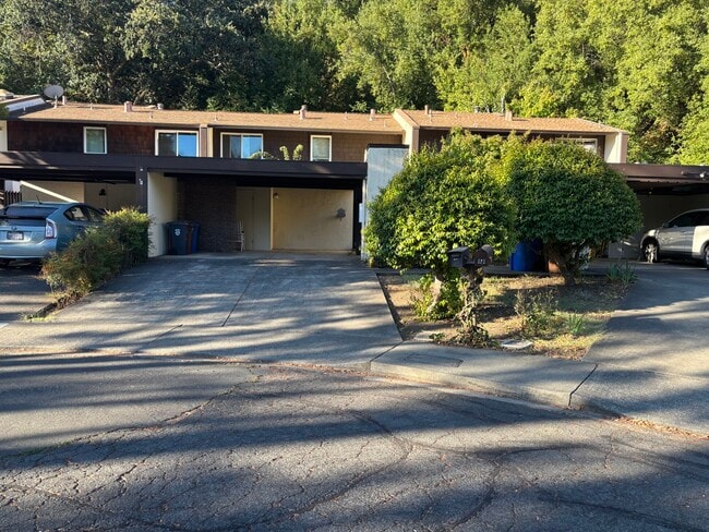 Building Photo - 3171 Valley Green Ln