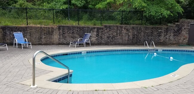 Swimming pool - 2116 Montreat Ln