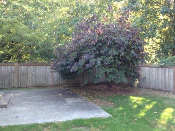 Foto del edificio - 14016 80th Avenue Ct E