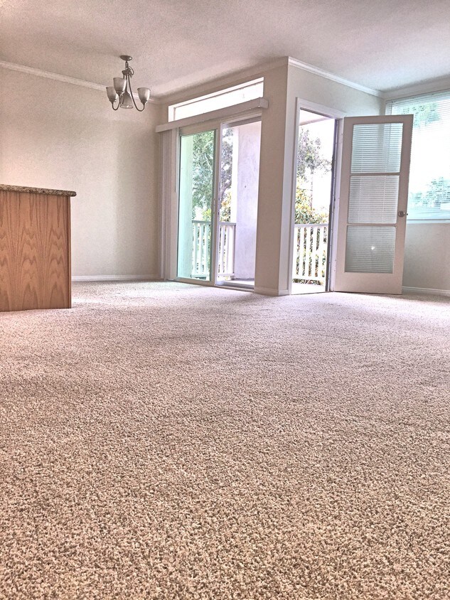 Living Room - 3881 Groton St