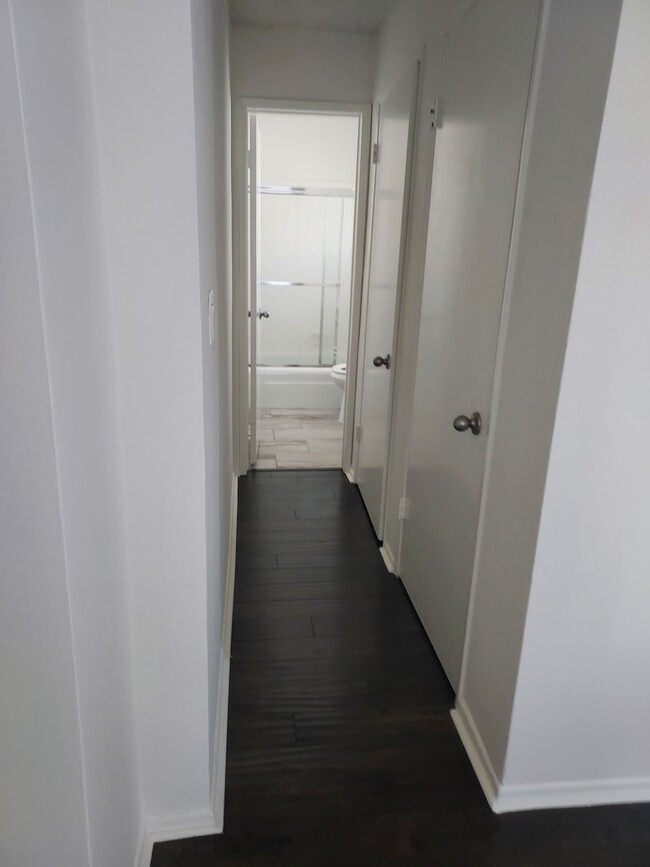 Closets in hall to bathroom studio - 1247 Federal Ave