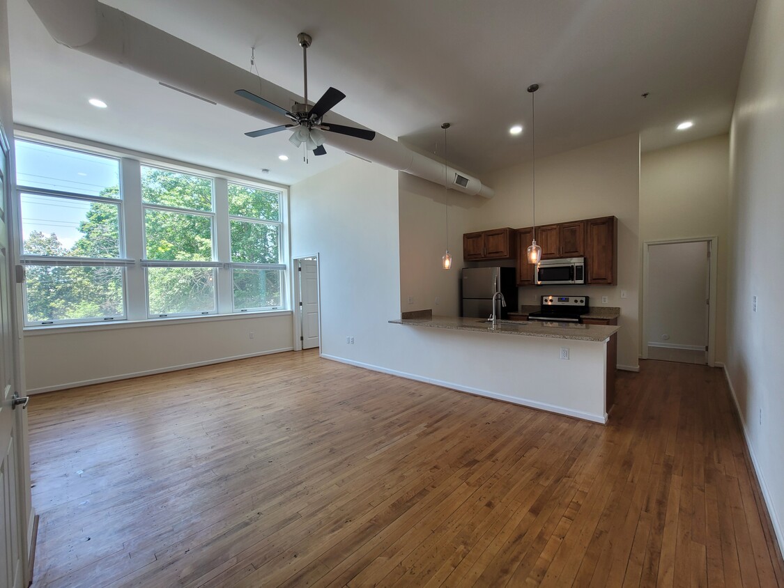 206 Living Area/Kitchen - 2244 Rivermont Ave