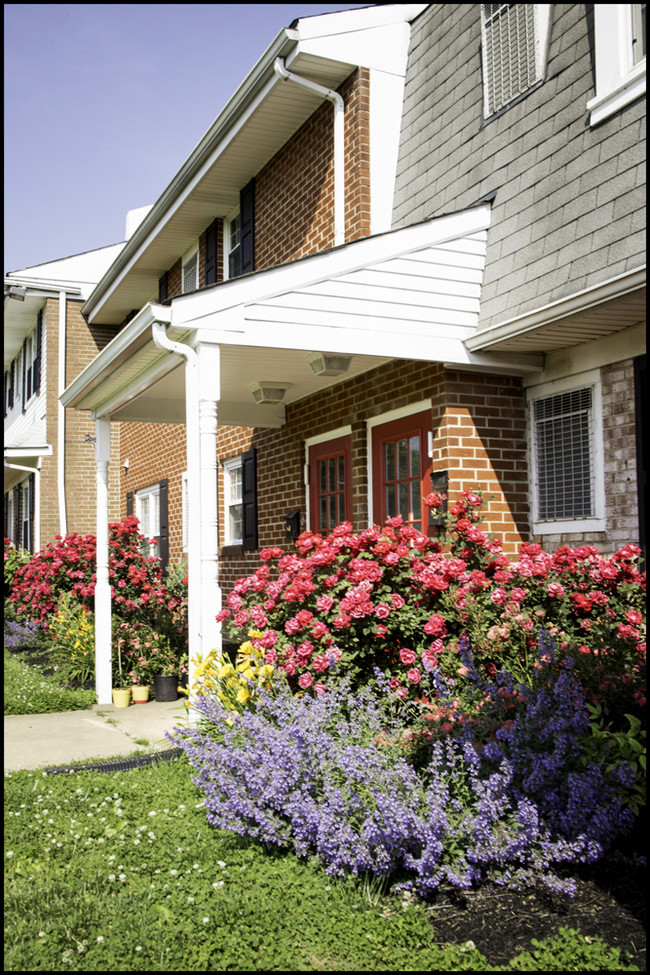 Building Photo - Middletown Manor