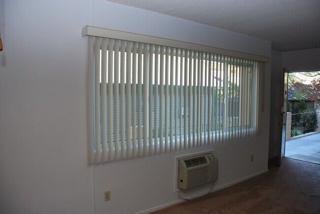 Livingroom Window - 236 S Mentor Ave