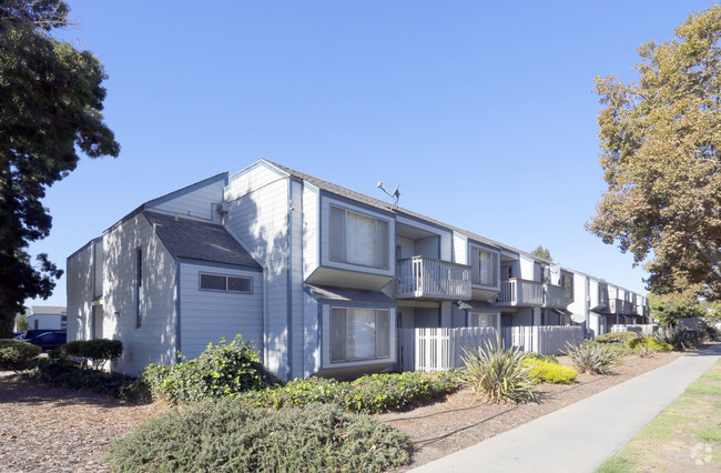 Building Photo - Pinewood Terrace Apartments