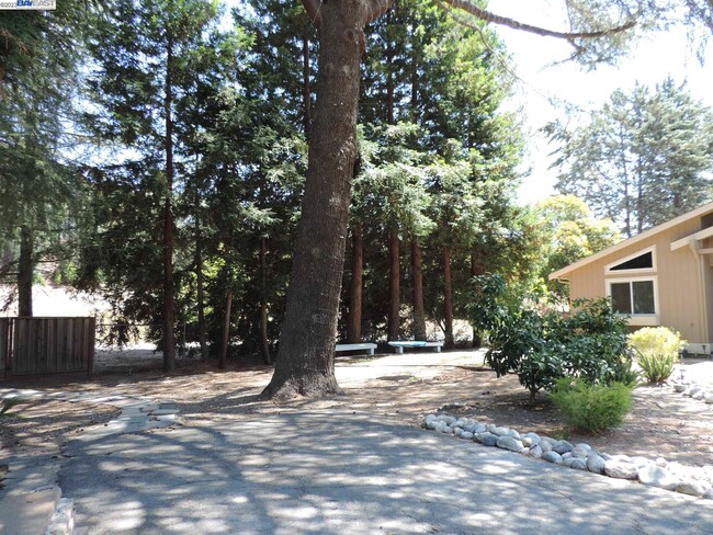 Building Photo - 1413 Livorna Rd