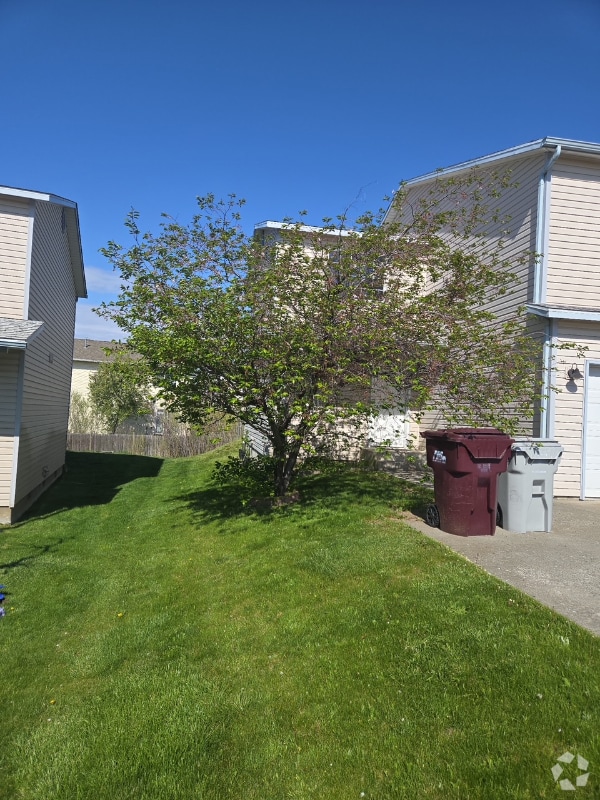 Building Photo - 537 Karcio Ct