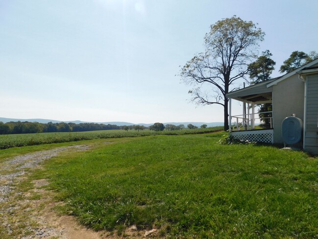 Foto del edificio - Renovated House with Farm Location on WV/V...