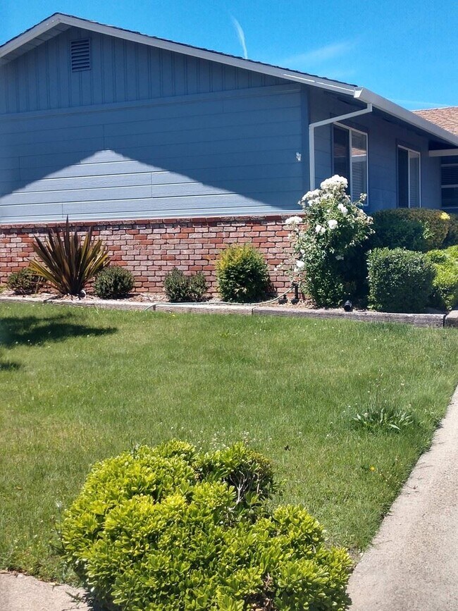 Building Photo - 3 br, 2 bath House - 780 Malaga Dr
